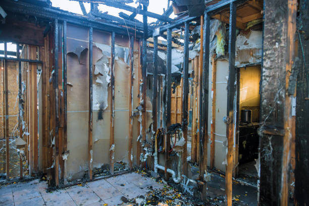 Professional Fire Damage Repair technician working in Princeton Junction, NJ